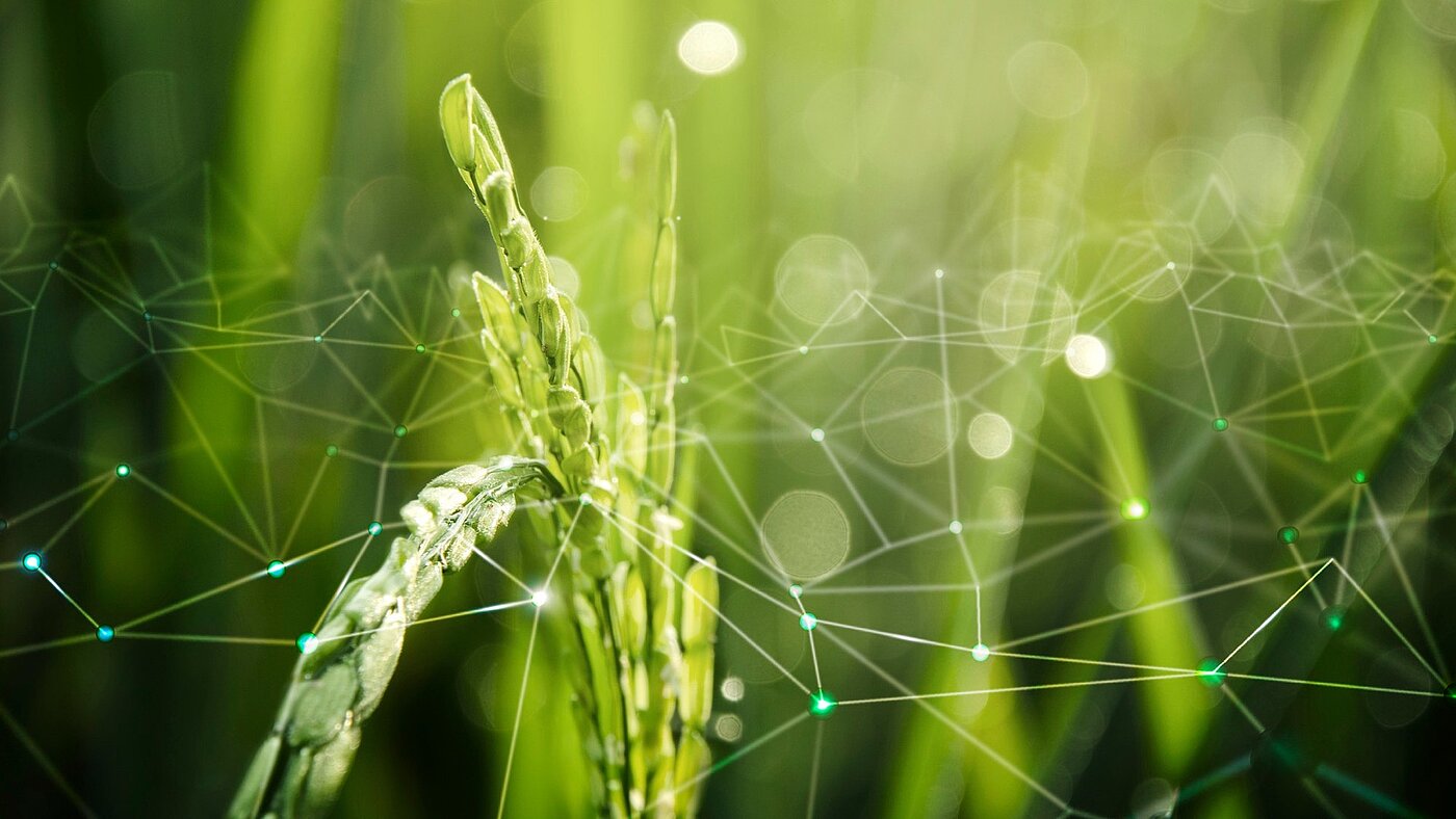 AgriTech Challenge 1